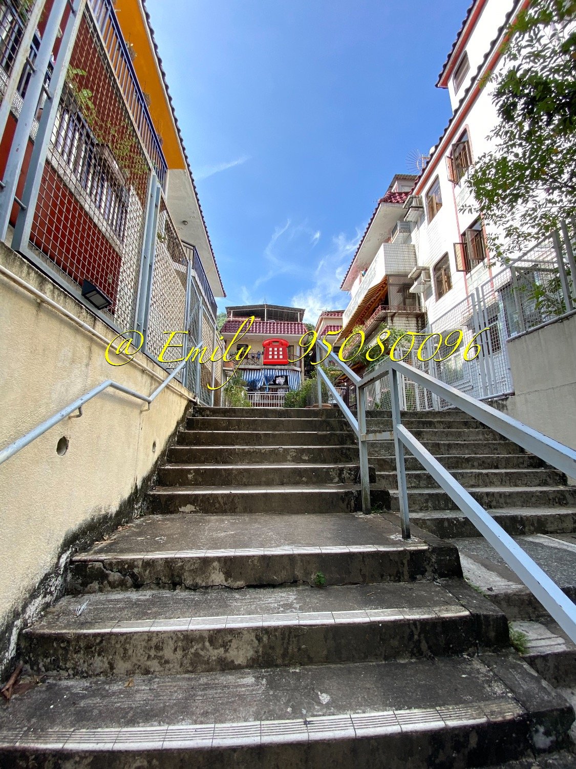 下禾輋村 @ EMILY 95080096