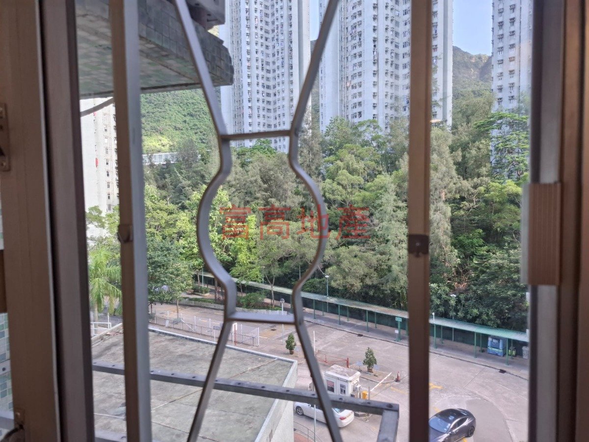 SADDLE RIDGE GDN BLK 06 (PSPS) Ma On Shan L 011483 For Buy