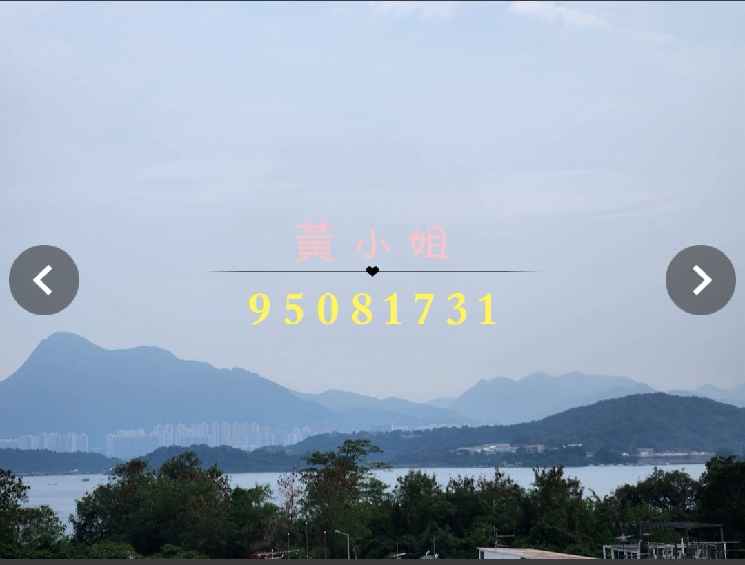 布心排  95081731