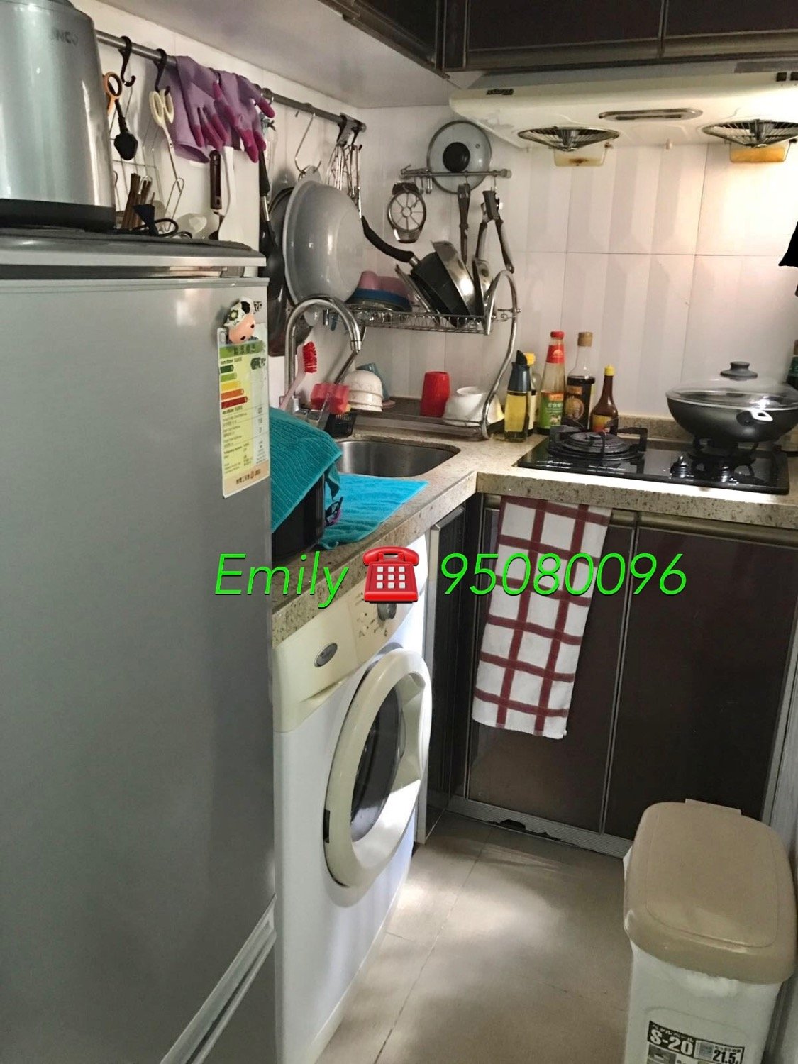 花園城 @ EMILY 95080096