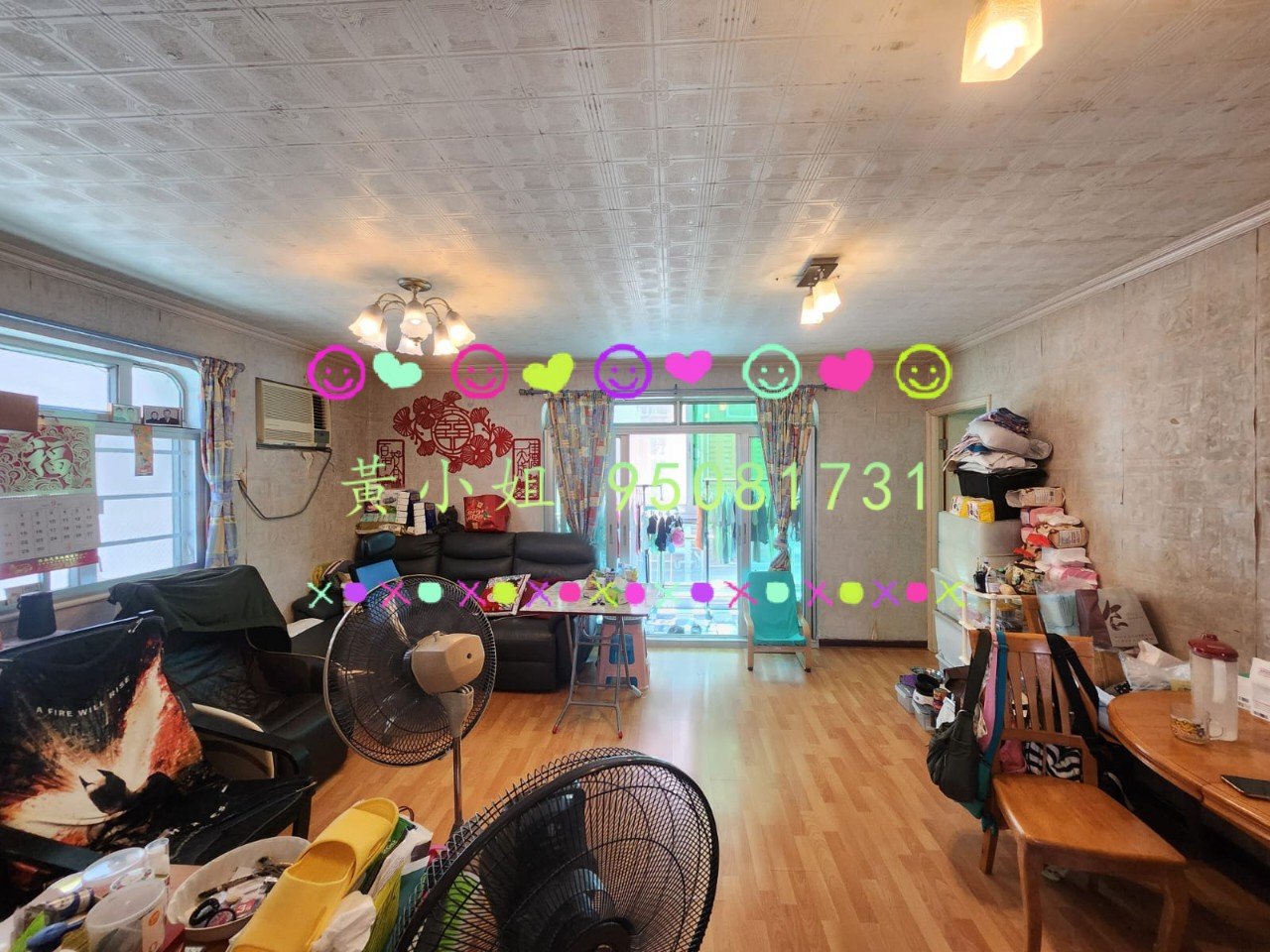 散頭角   95081731