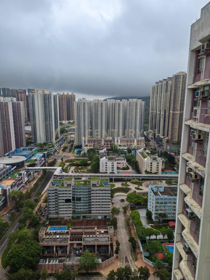 唐明苑 唐富閣 C座 (綠表)