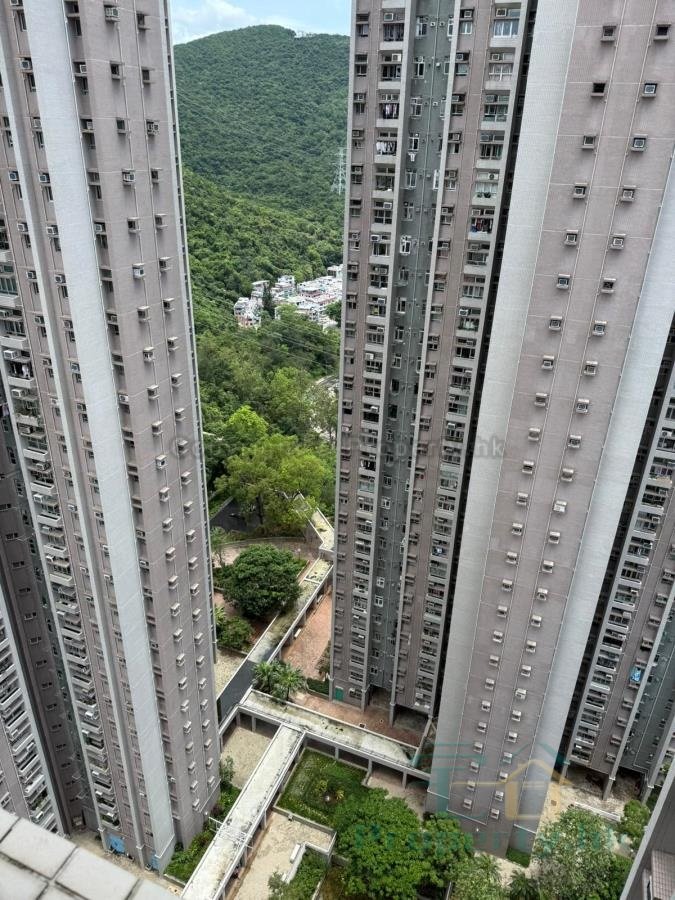 景明苑 C座 旭景閣(綠表)