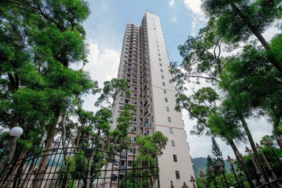SHATIN 33 BLK 04 (RHINE HTS) Shatin L 1783470 For Buy