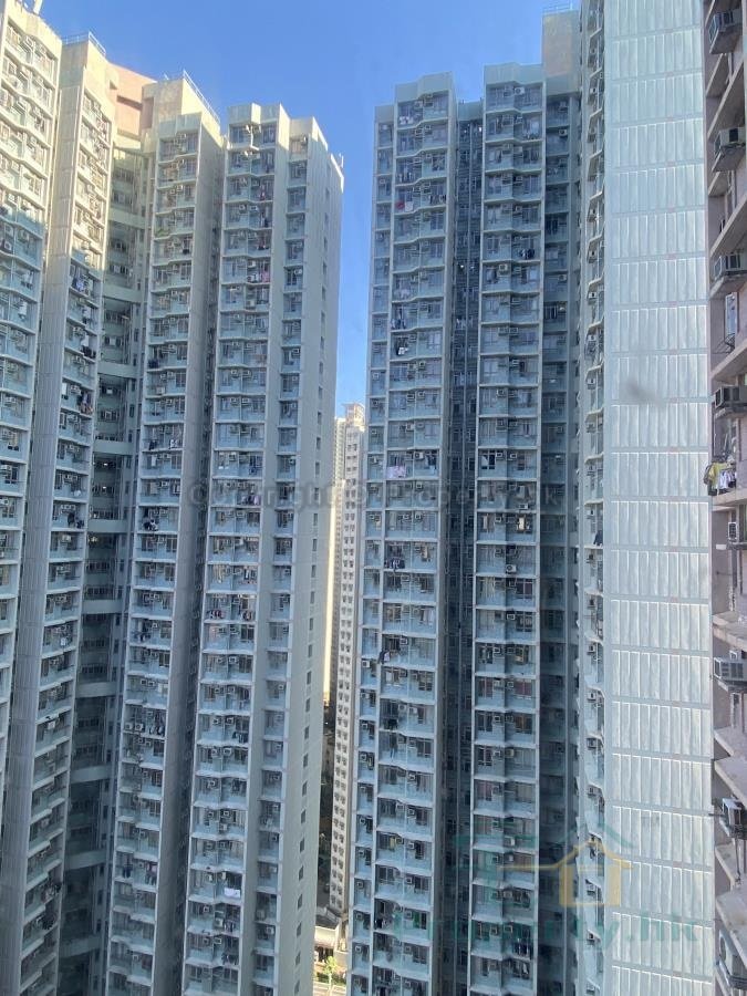 廣明苑 廣新閣 G座 (綠表) 廣明苑 廣新閣 G座 (綠表)