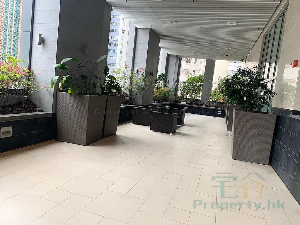 WARRENWOODS Causeway Bay M B298580 For Buy