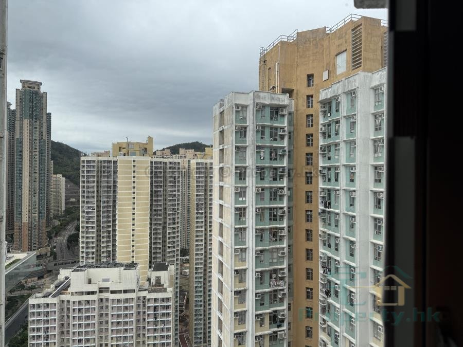 彩明苑 E座 彩桃閣 (綠表) 彩明苑 E座 彩桃閣 (綠表)