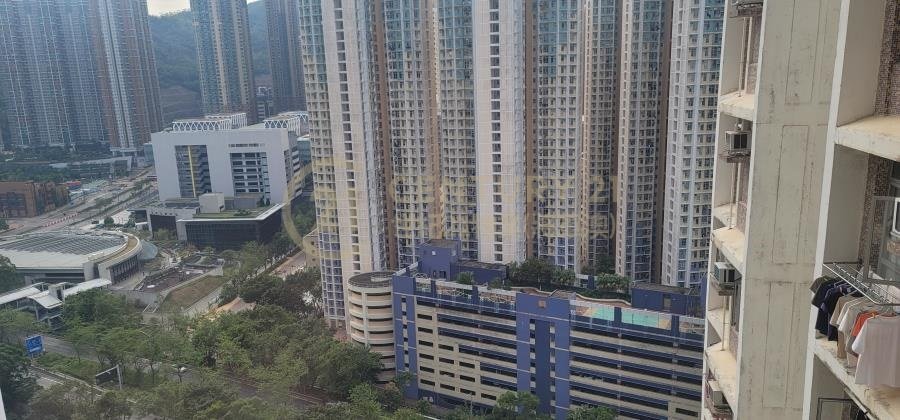 唐明苑 唐富閣 C座 ( 綠表 )