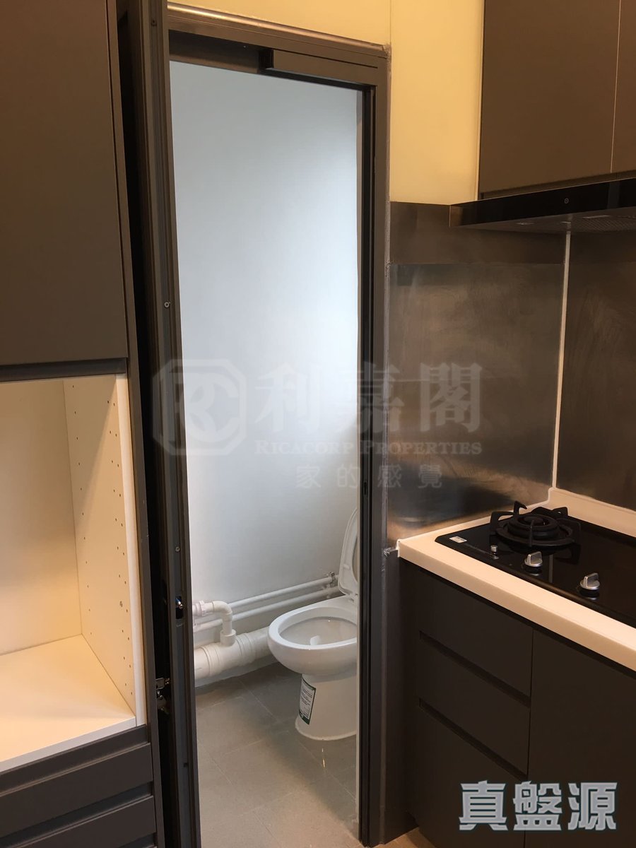 MORNING GLORY Shatin M 1670236 For Buy
