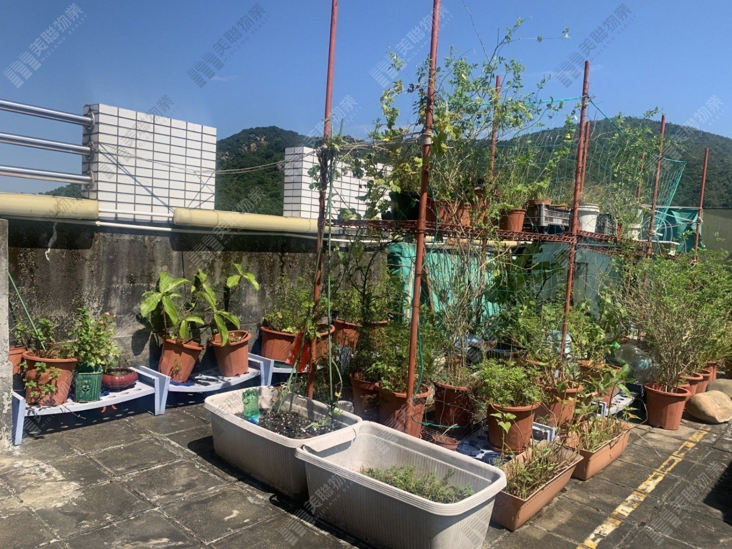 CASTELLO BLK 02 Shatin H 1724898 For Buy