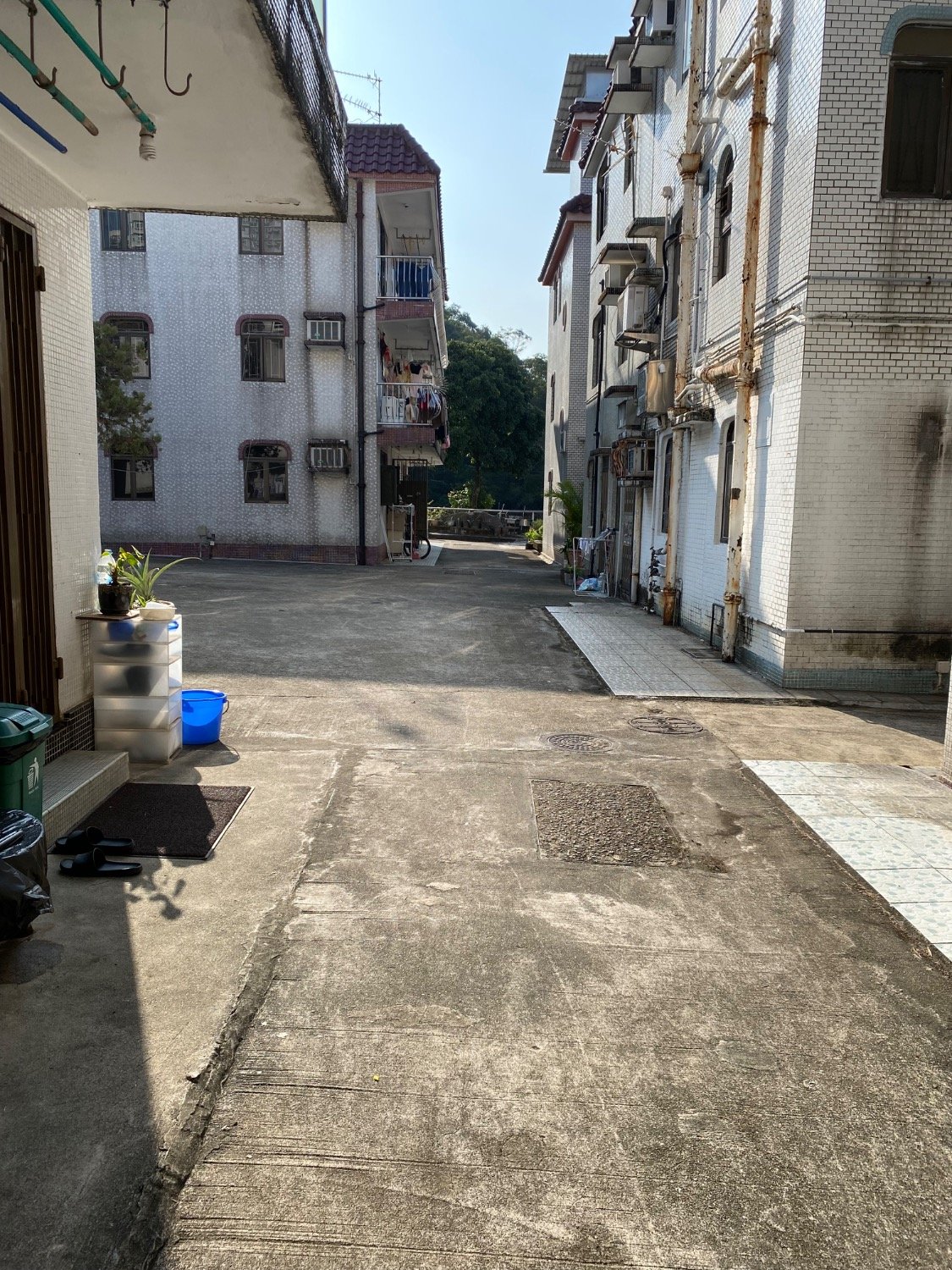 作壆坑 @ EMILY 95080096
