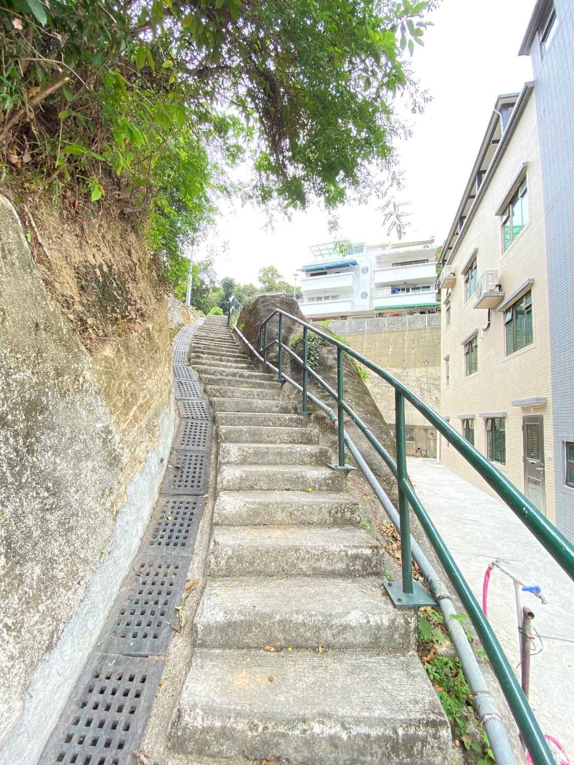 多石村 @ EMILY 95080096