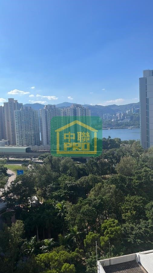 HENG ON EST  Ma On Shan T166965 For Buy