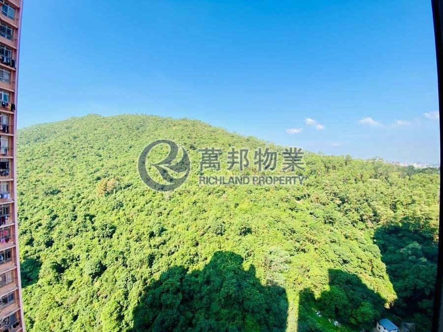 YUNG SHING COURT Fan Ling H R164325 For Buy