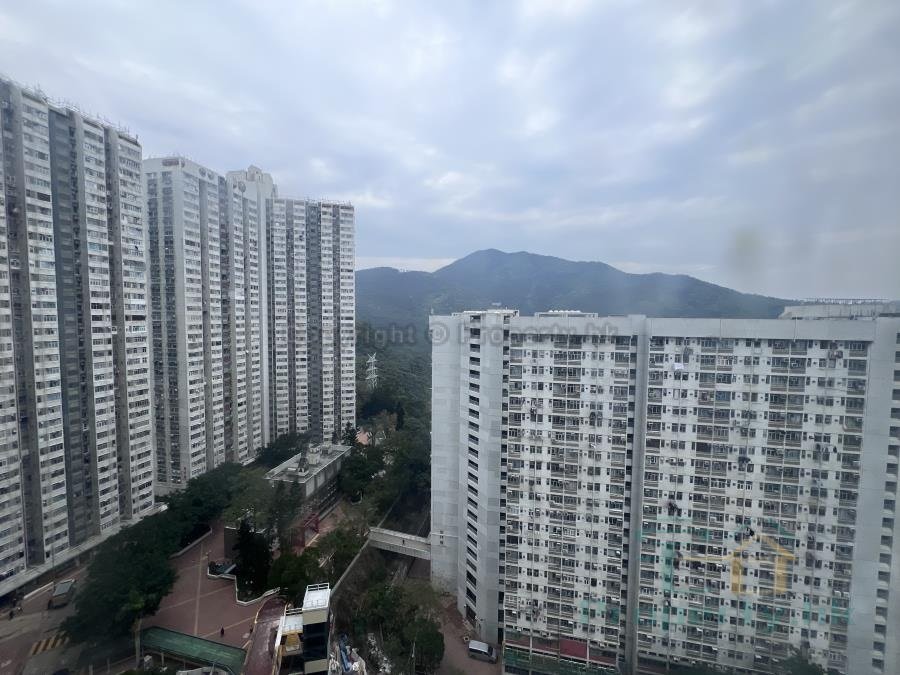 翠林村 第04座 欣林樓 (綠表)