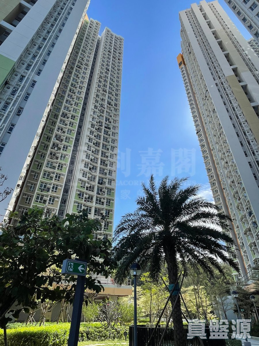 SHAN LAI COURT BLK B YUNG SHAN HSE (HOS) Fan Ling H 1767332 For Buy