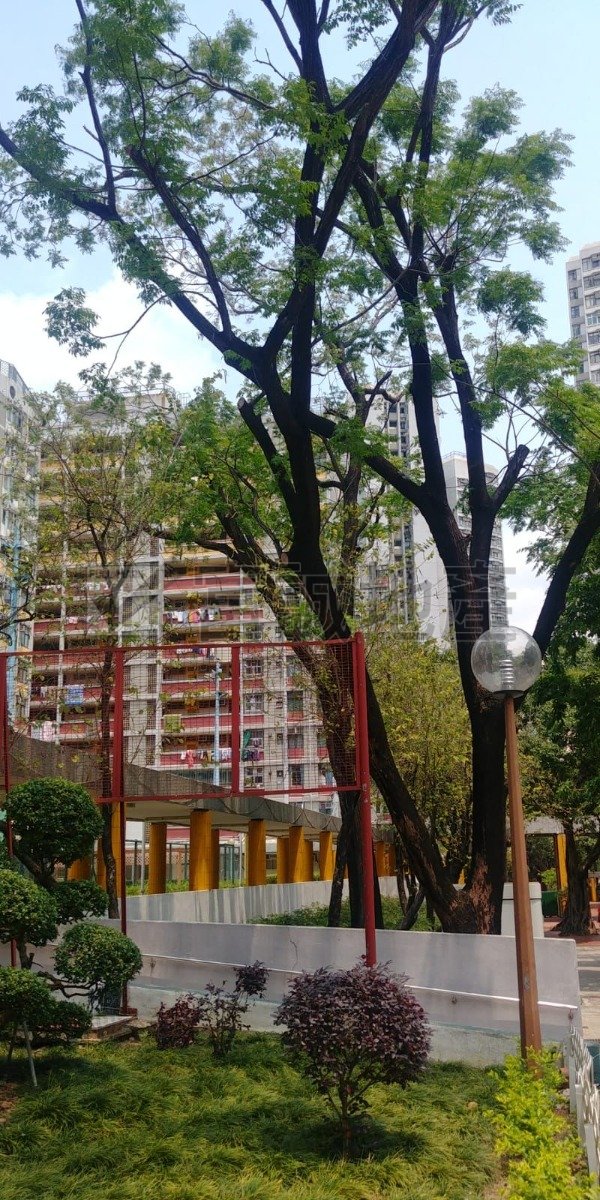 TUNG TAU EST  Kowloon City L N124016 For Buy