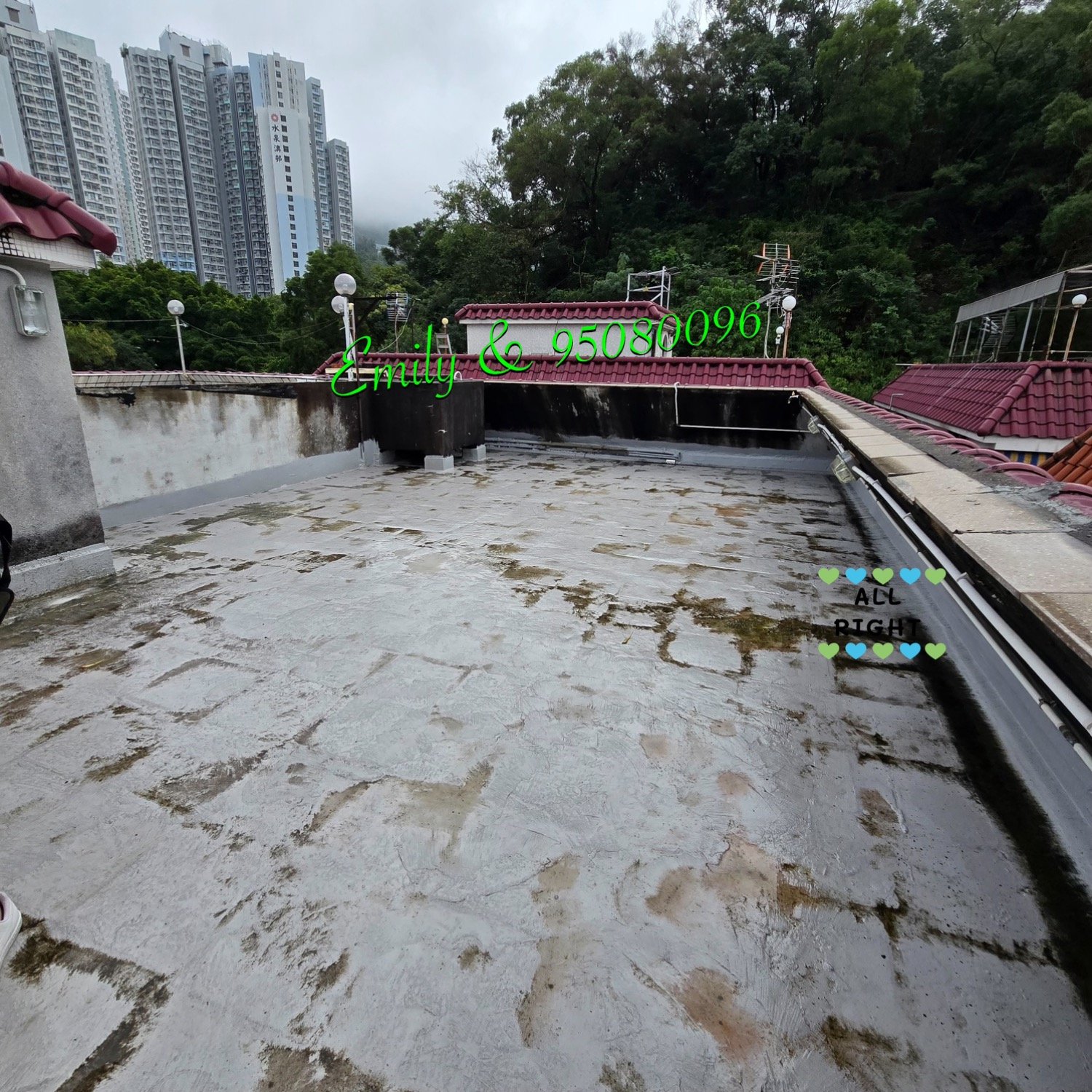 TSOK POK HANG Shatin A175831 For Buy