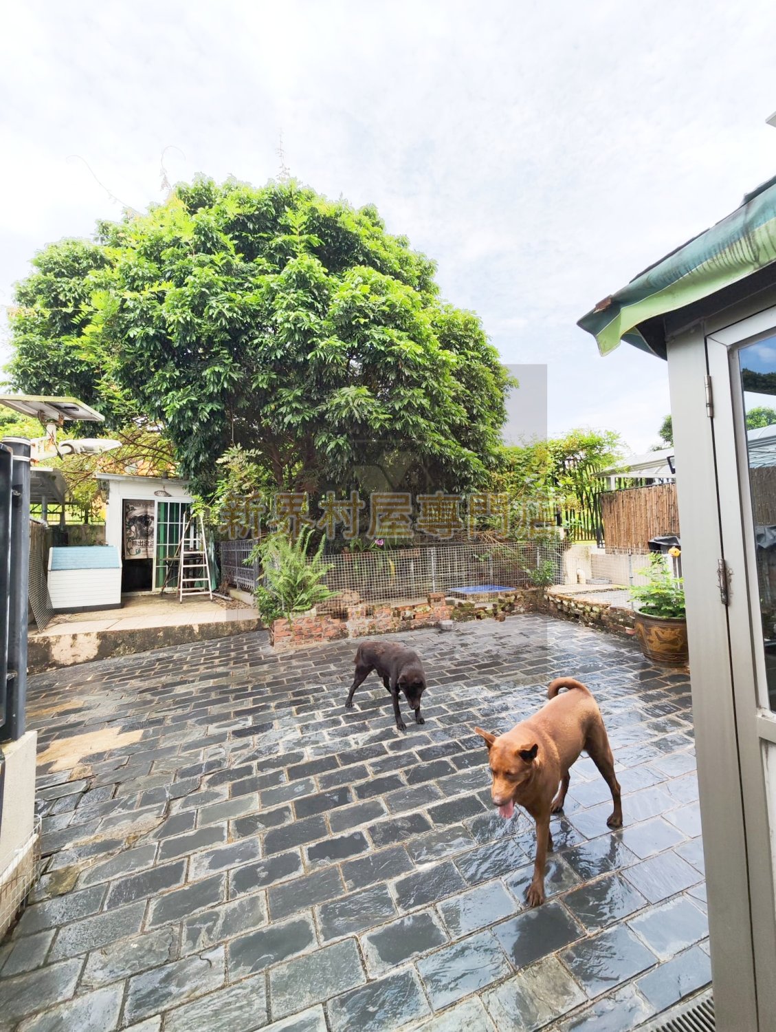 EMERALD VILLA Tin Shui Wai S007350 For Buy
