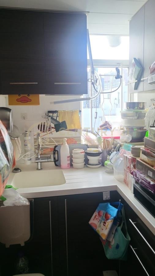 富康花園 第02期 第10座 (綠表) 富康花園 第02期 第10座 (綠表)