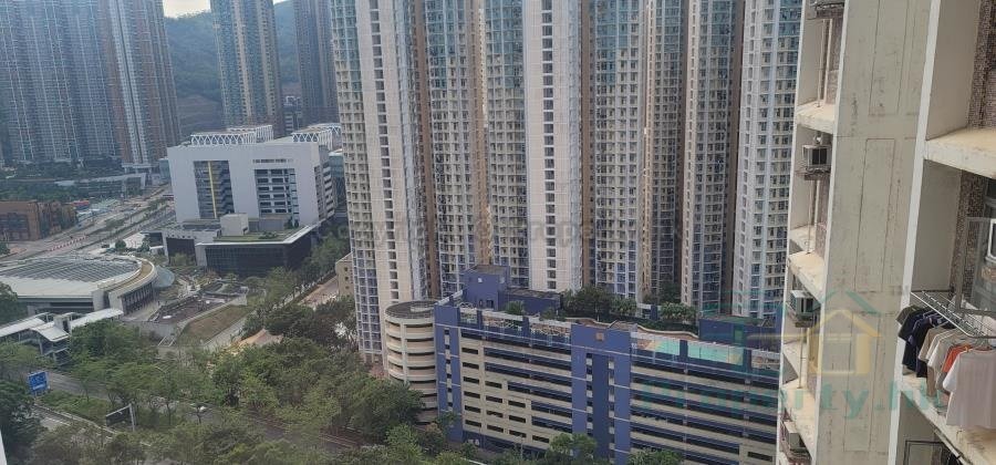唐明苑 唐富閣 C座 ( 綠表 )