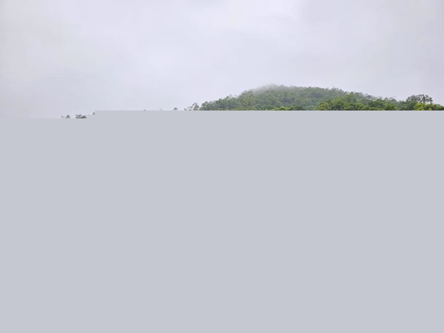 翠嶺峰 (綠表)