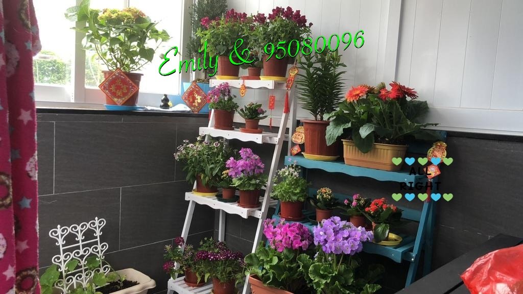 TAI SHUI HANG TSUEN Shatin All A039667 For Buy