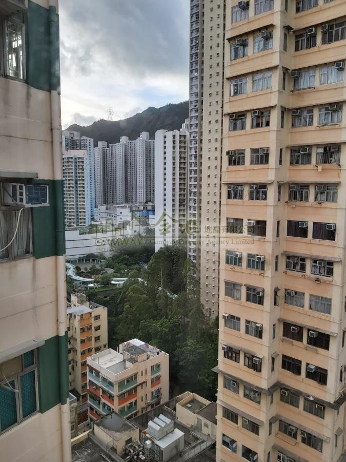 KELLIE MAN Wong Tai Sin H Y167669 For Buy