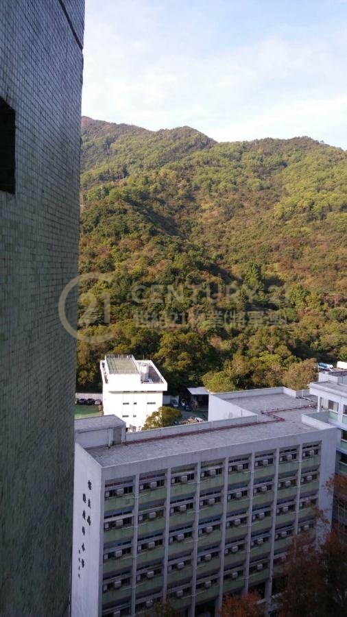 寶林村 第02座 寶泰樓 (綠表)