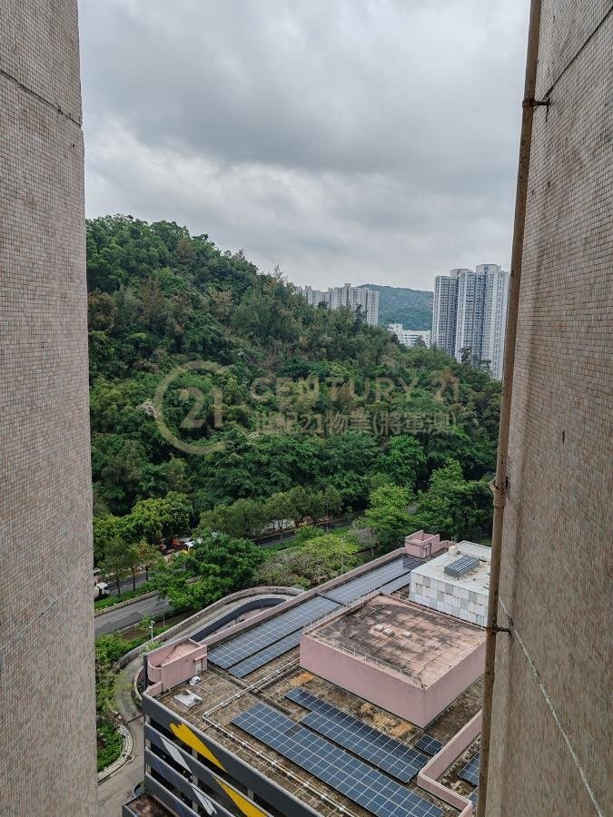 景林村 第03座 景棉樓 (連地價)