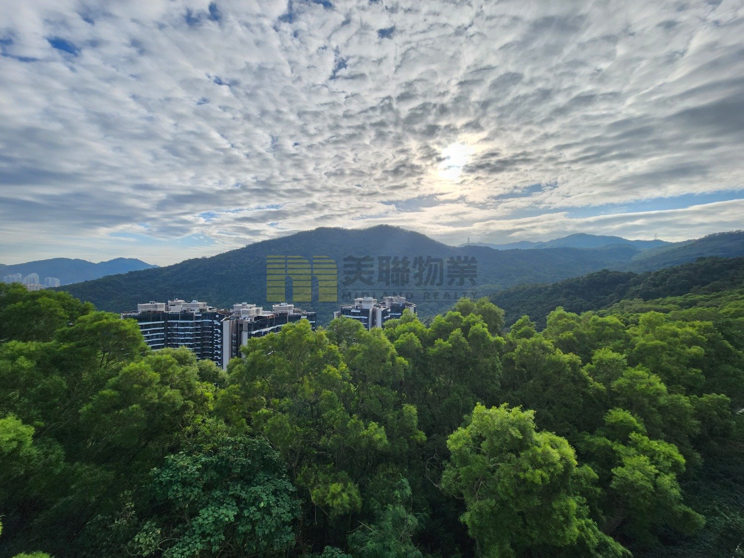 LE CAP HSE Shatin All 1764186 For Buy