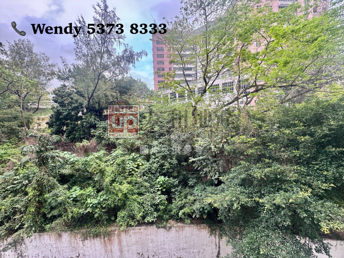 SCENERY MAN Ho Man Tin H T169223 For Buy