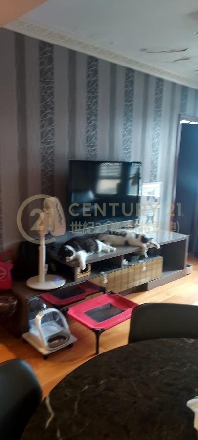 康盛花園 第04座 (綠表)