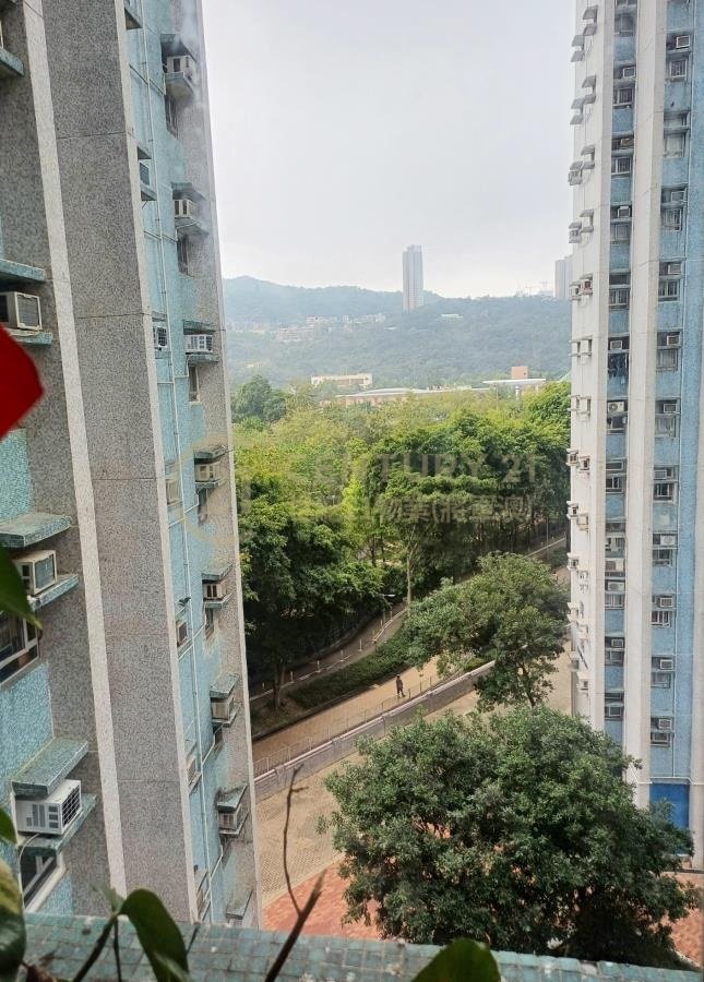 頌明苑 D座 翠明閣 (綠表) 頌明苑 D座 翠明閣 (綠表)