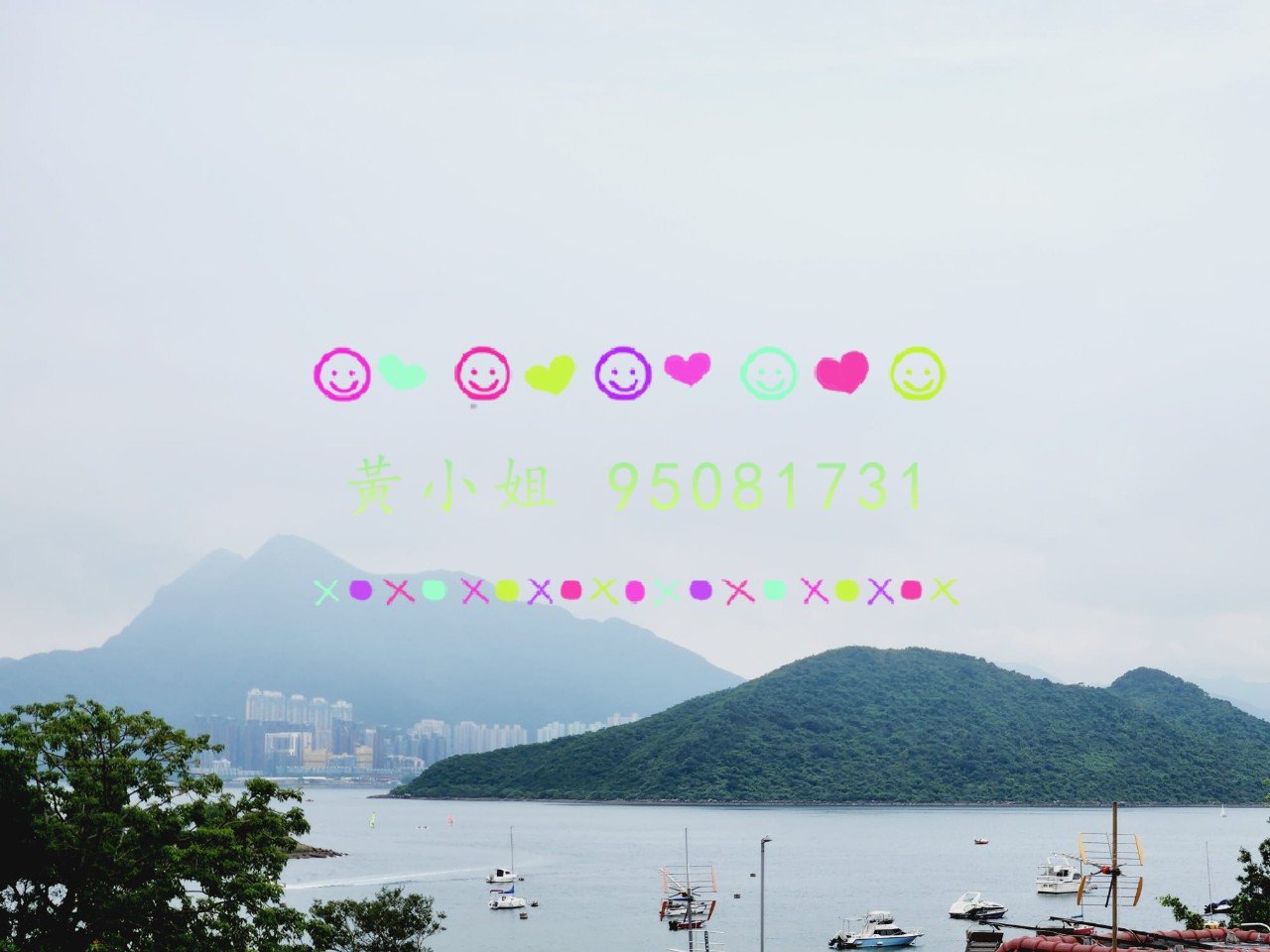 95081731 车入花园