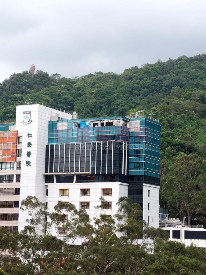 KA TIN COURT  Shatin H T029324 For Buy