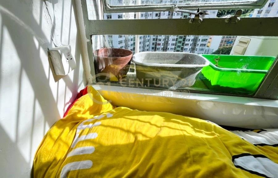 寶林村 第03座 寶寧樓 (綠表)