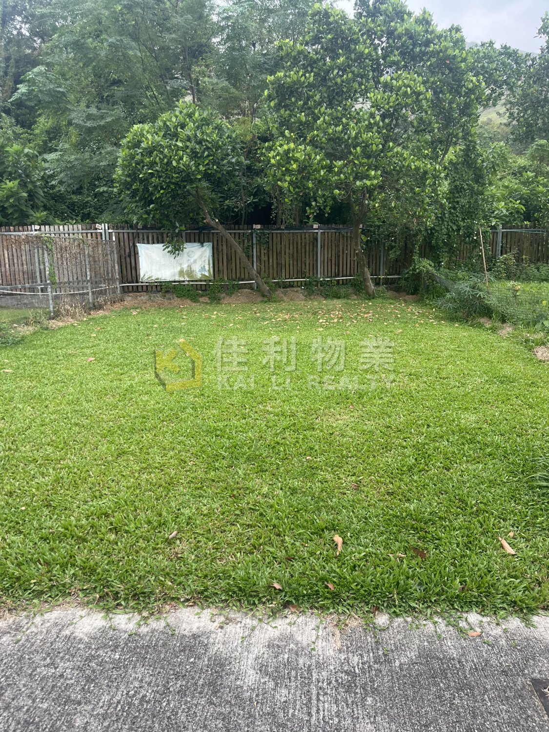 TAI KONG PO TSUEN Yuen Long Y037333 For Buy