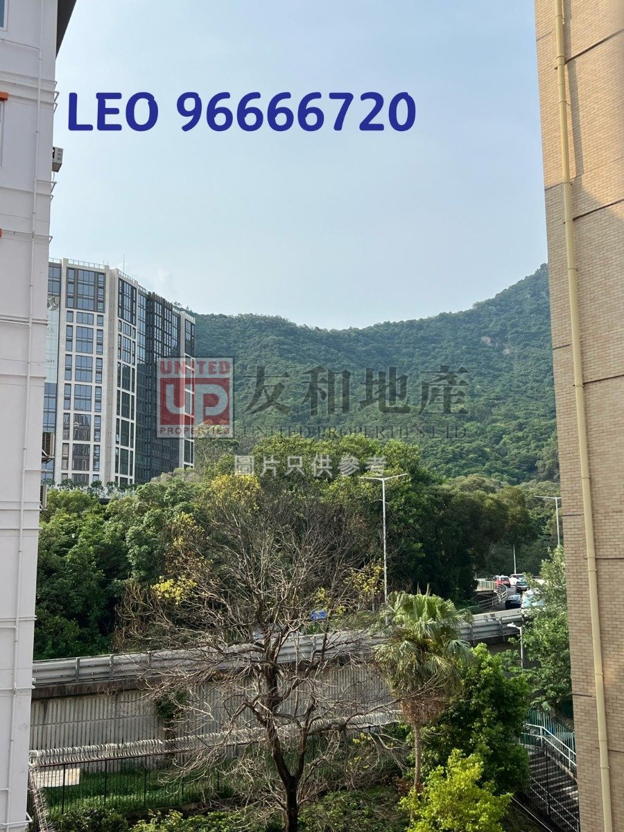 ALICE COURT   Kowloon Tong M K189665 For Buy