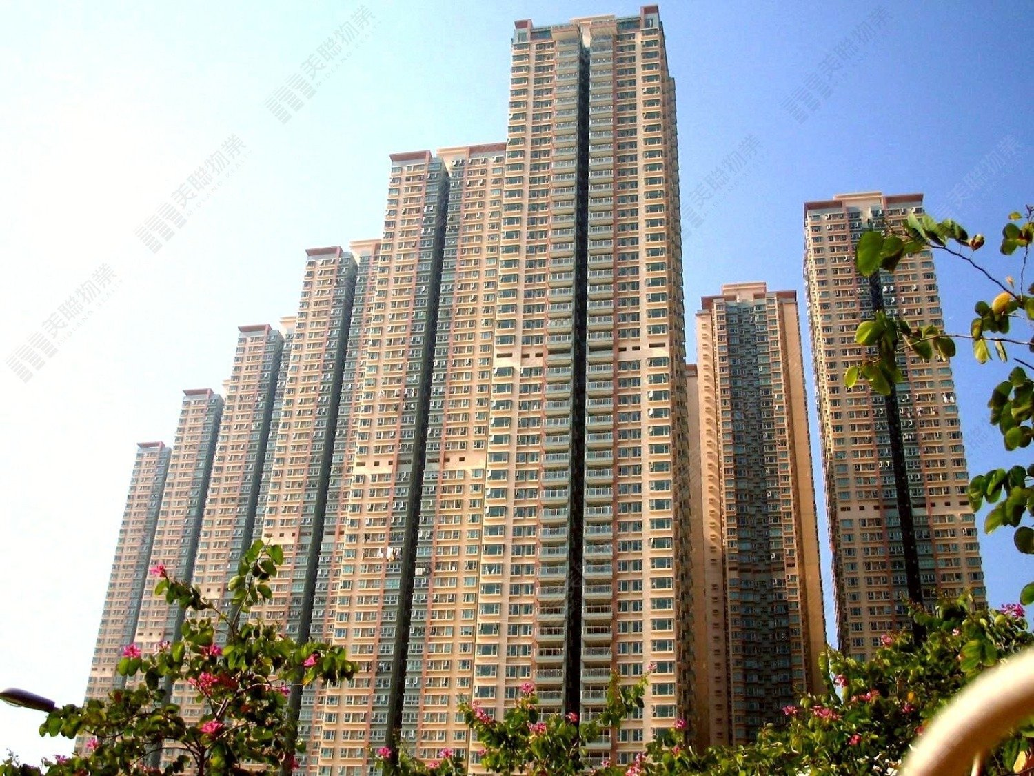 PARK CENTRAL PH 01 TWR 08 Tseung Kwan O M 1720198 For Buy