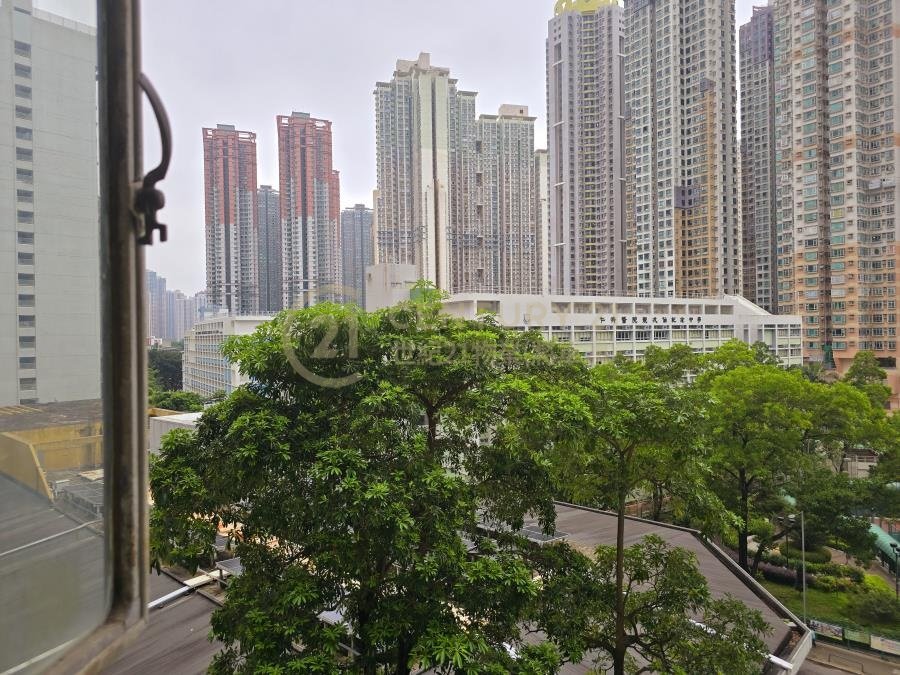 寶林村 第03座 寶寧樓 (綠表)