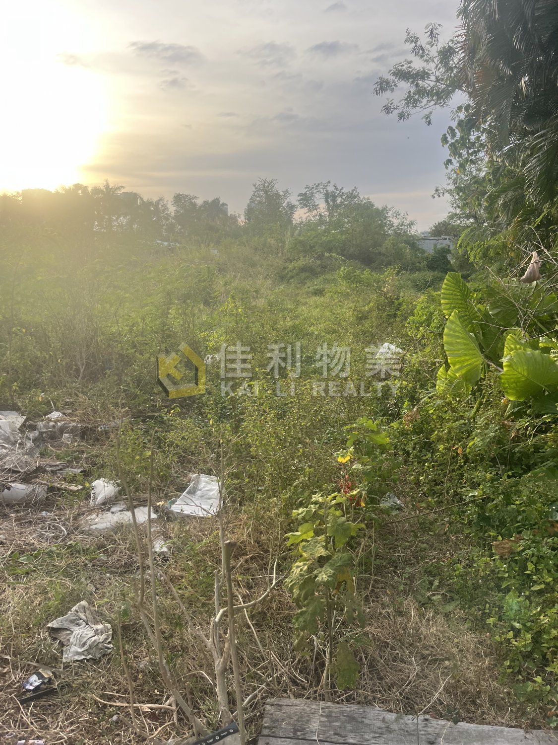 SHUI TAU Yuen Long Y037459 For Buy