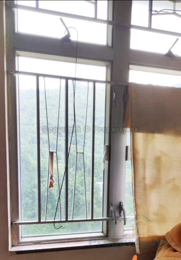 顯明苑( 綠表) 顯明苑( 綠表)