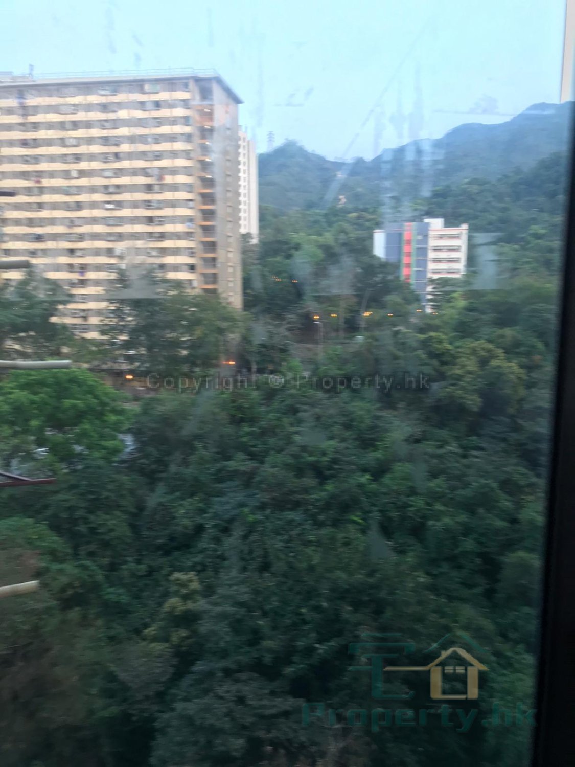 GOLDEN LION GDN PH 01 BLK F GLN HARVEST Shatin M C497648 For Buy