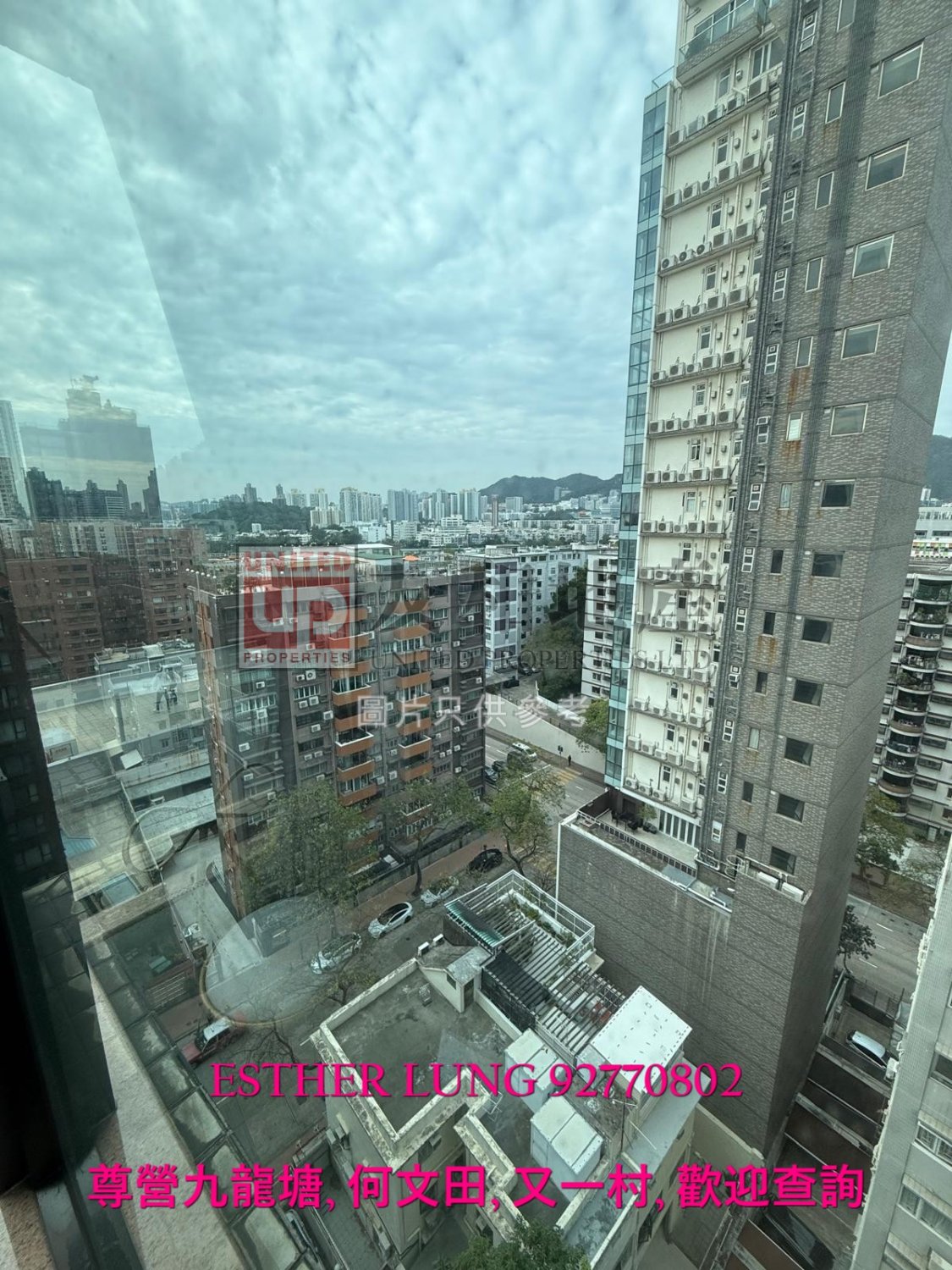 VISION COURT Ho Man Tin T124978 For Buy
