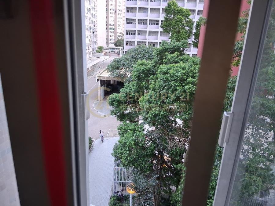 景林村 第06座 景桃樓(綠表)