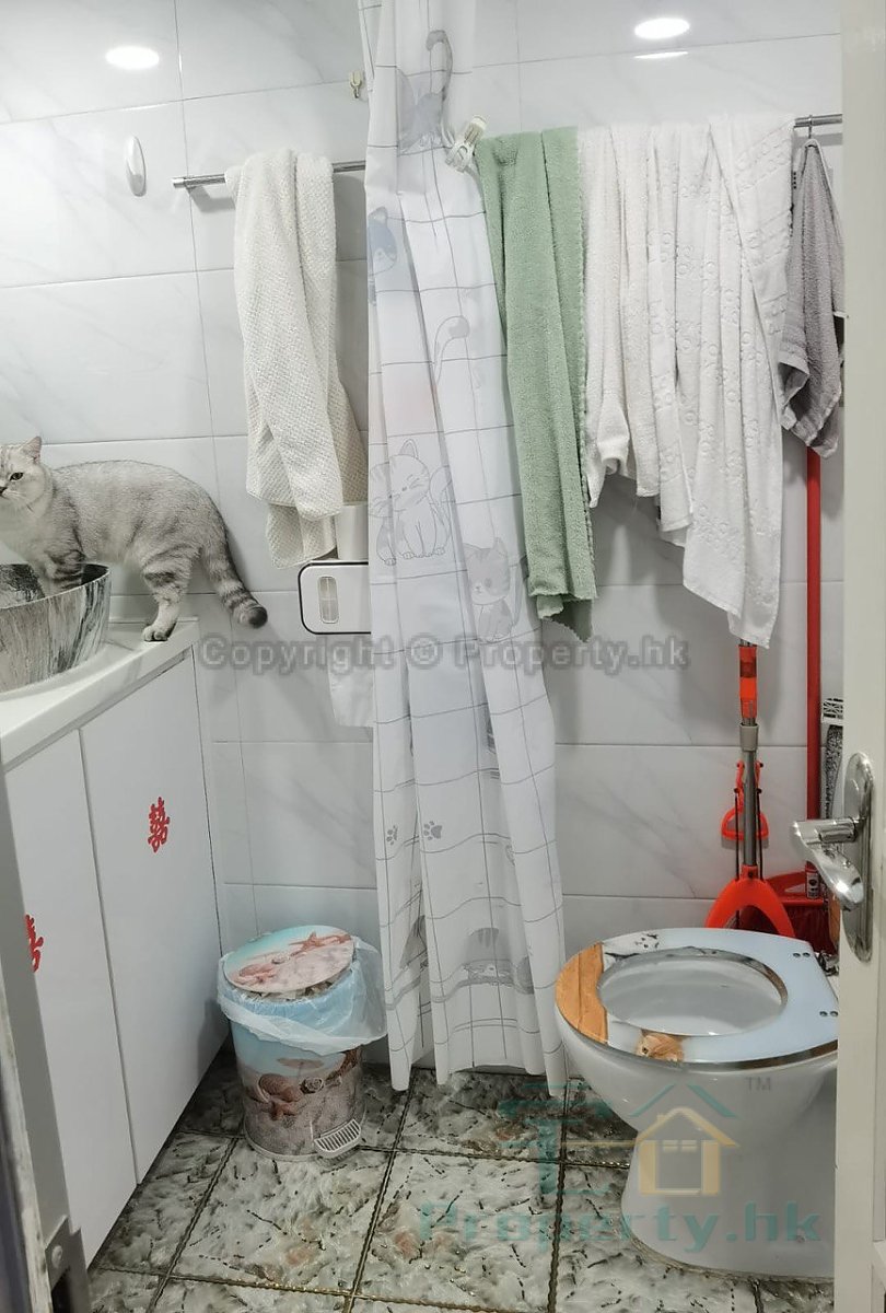 YUK WO COURT (HOS) Shatin S030581 For Buy