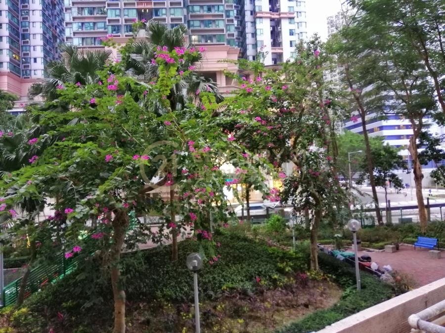 浩明苑 (連地價)