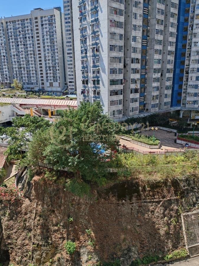 翠林村 第08座 安林樓 (綠表)