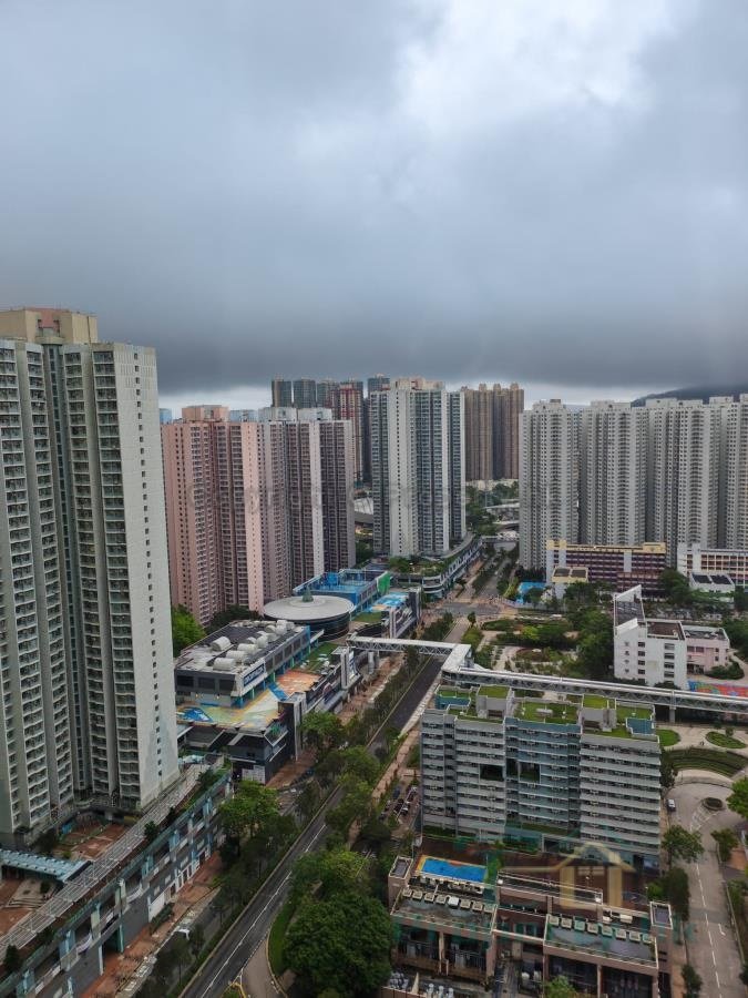 唐明苑 唐富閣 C座 (綠表)